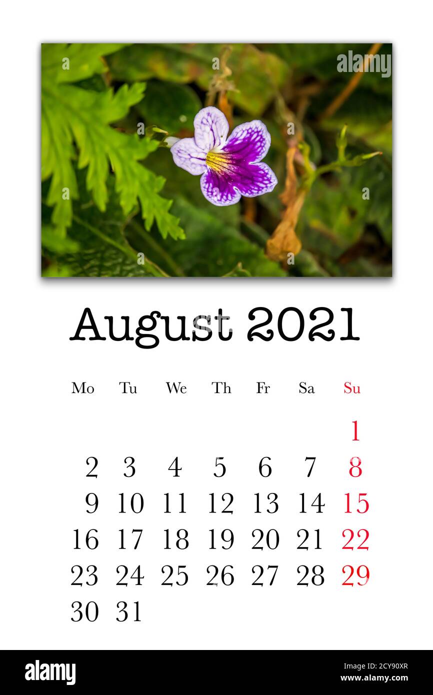 Calendar card for the month of august 2021 stock photo alamy