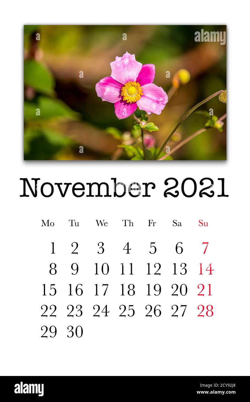Calendar card for the month of november 2021 stock photo alamy