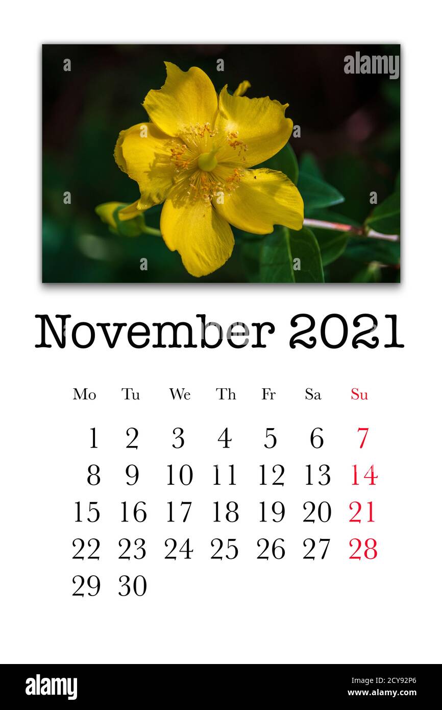 November 2021 High Resolution Stock Photography And Images Alamy joan hunter calendar 2021