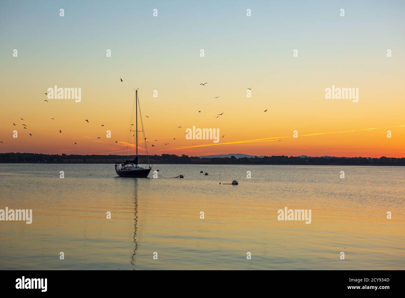 Sunrise over Lake Champlain with a silhouetted sailboat and gulls Stock Photo