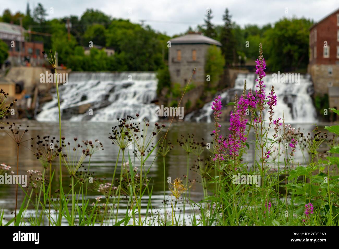Woodland epiary with the Vergennes Falls in the background on a blurred background Stock Photo