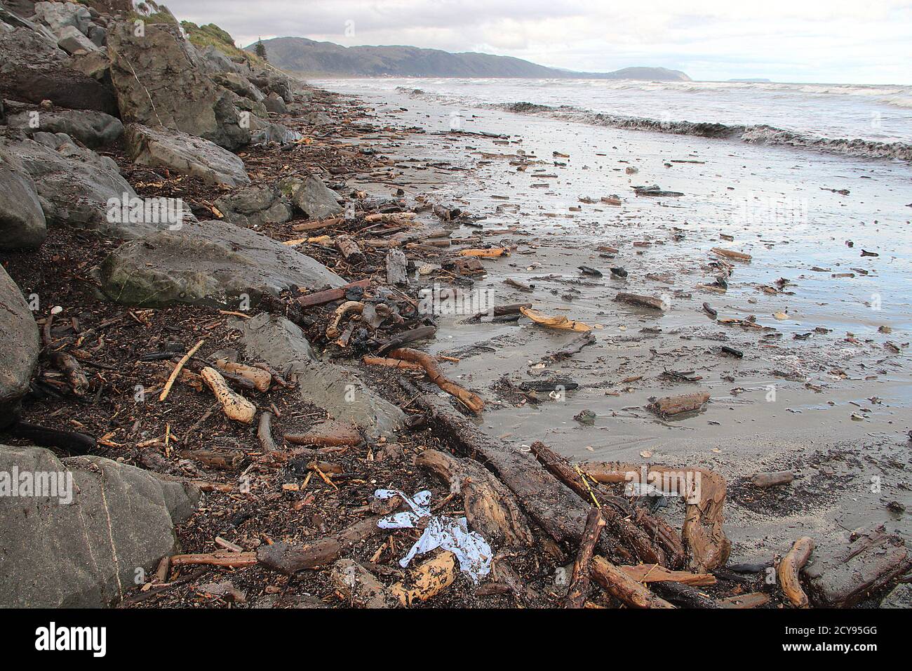 Forestry pollution - beach slash Stock Photo