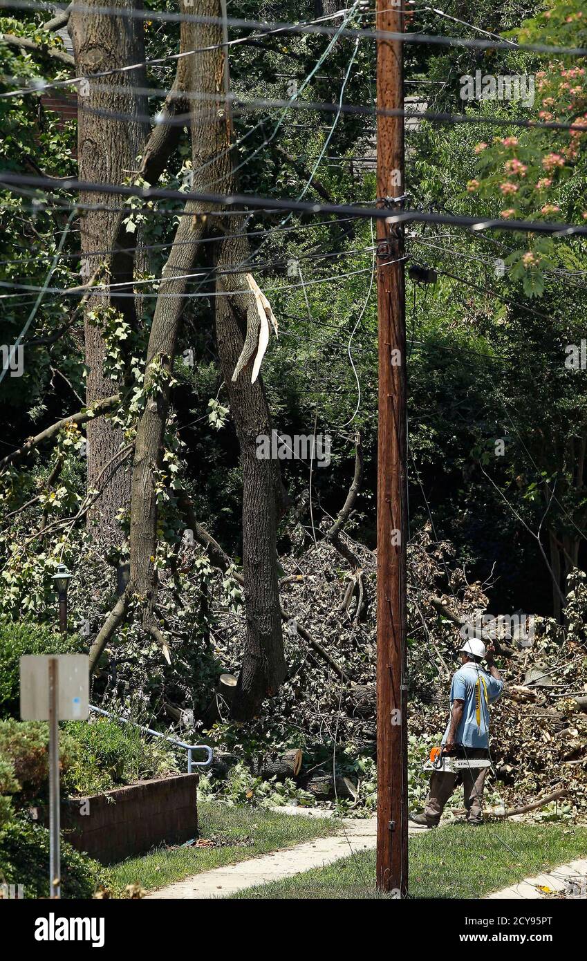 Tree limb removal hires stock photography and images Alamy