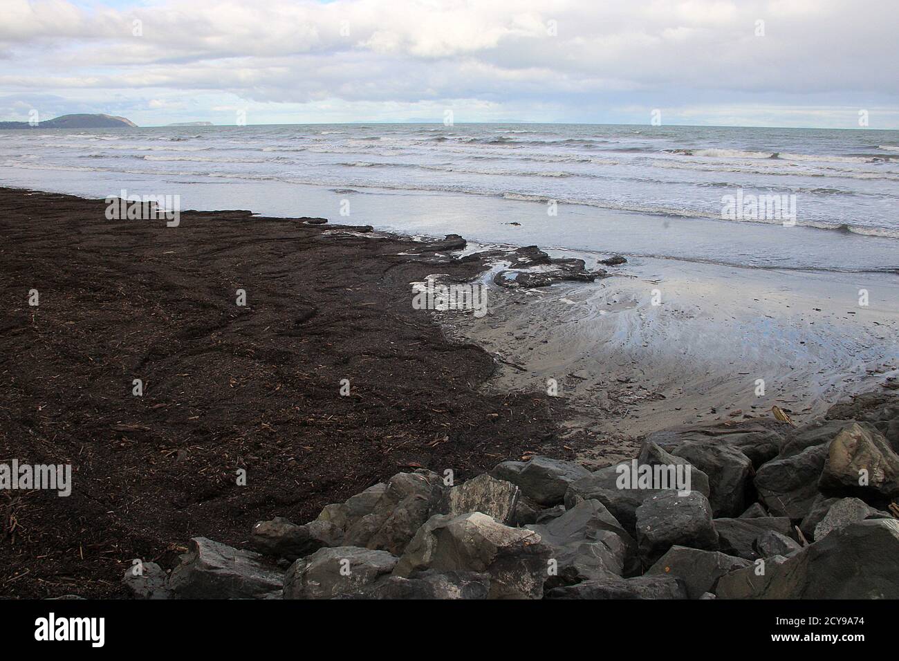 Forestry pollution - beach slash Stock Photo