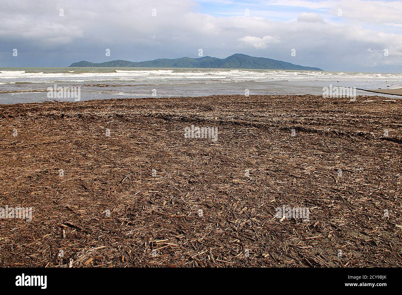 Forestry pollution - beach slash Stock Photo