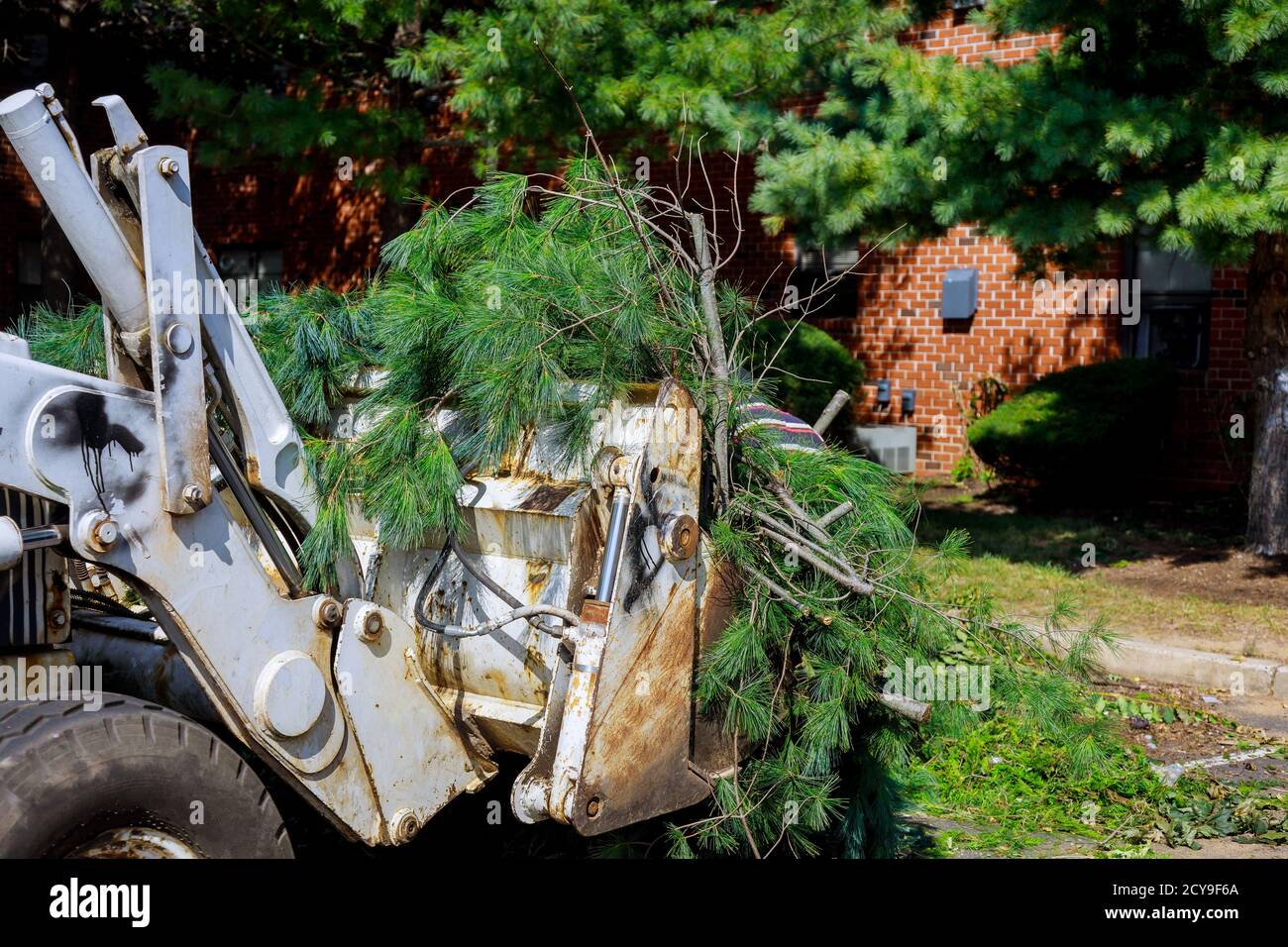 Pile of tree branches in the city street removal of branch removal in tractor bucket. Stock Photo