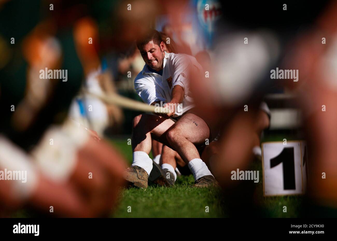 A tug of war team during competition hires stock photography and