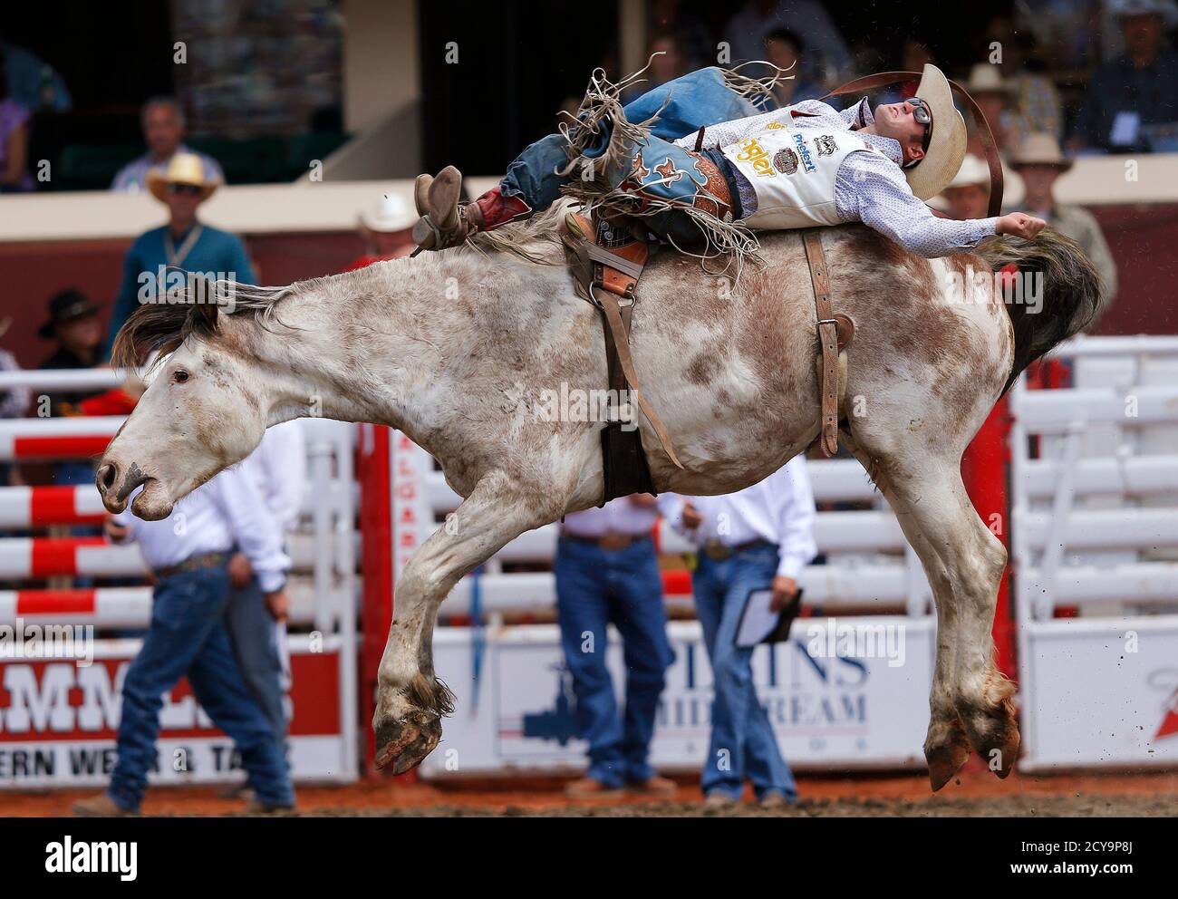 ross in spanish fork