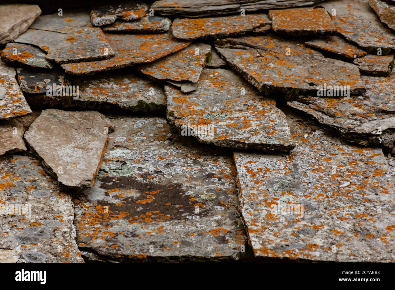 Background pattern from slate tiles with red mold Stock Photo