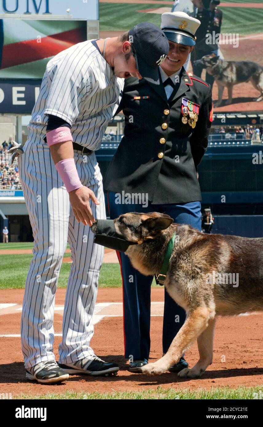 Megan Leavey High Resolution Stock Photography and Images Alamy(01)