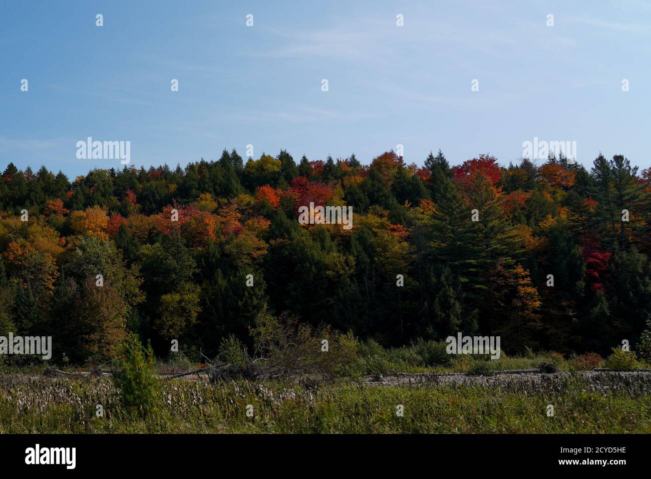 Fall colors in Vermont Stock Photo Alamy