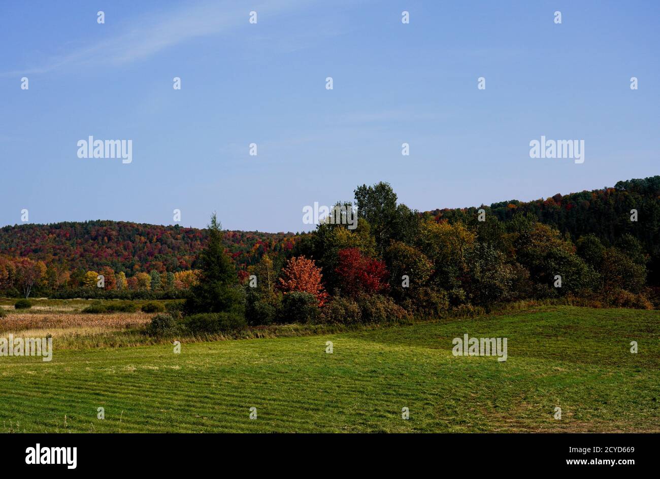 Fall colors in Vermont Stock Photo Alamy