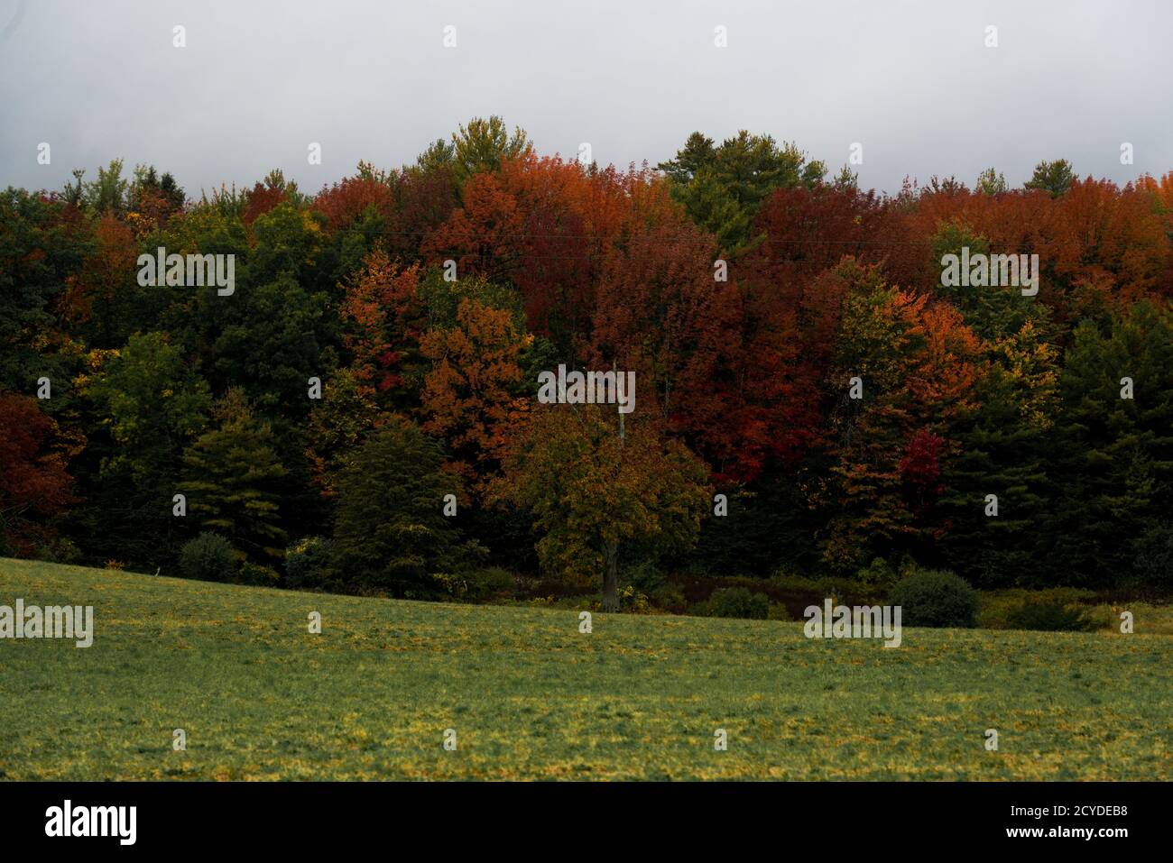 Fall colors in Vermont Stock Photo Alamy