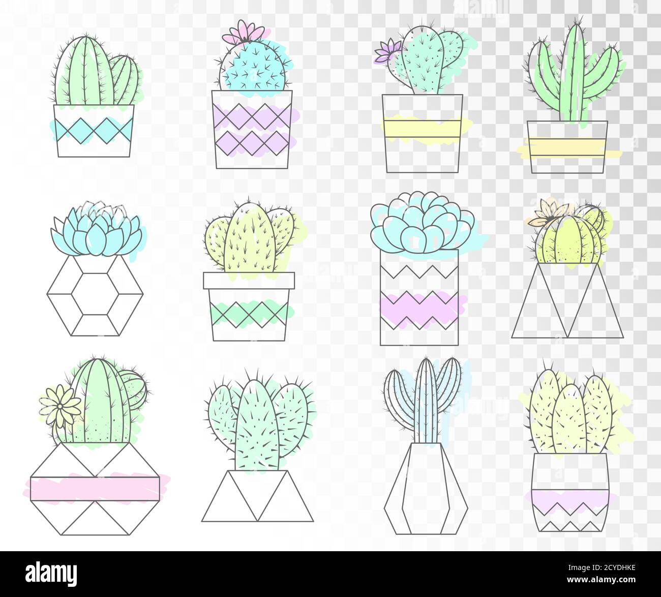 Vector set of cacti and succulents in flower pots. Flat style. Colored ...