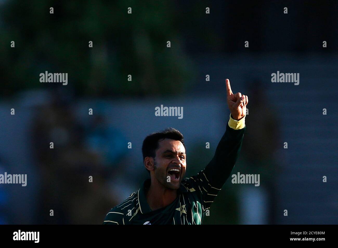 Pakistan's Mohammad Hafeez appeals for a successful wicket for Sri Lanka's Ashan Priyanjan (not pictured) during their second one day international (ODI) cricket match in Hambantota August 26, 2014. REUTERS/Dinuka Liyanawatte (SRI LANKA - Tags: SPORT CRICKET) Stock Photo