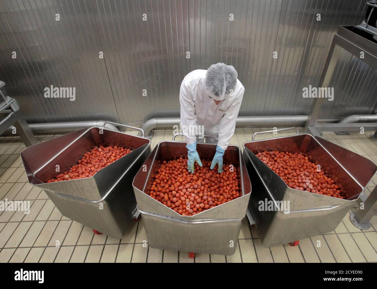 A worker inspects tomatoes in one of Paolo Ricciulli's factories in Parma  November 11, 2011. Ricciulli, awarded a "Knight of Labour" honour for his  business achievements, employs around 220 people at his