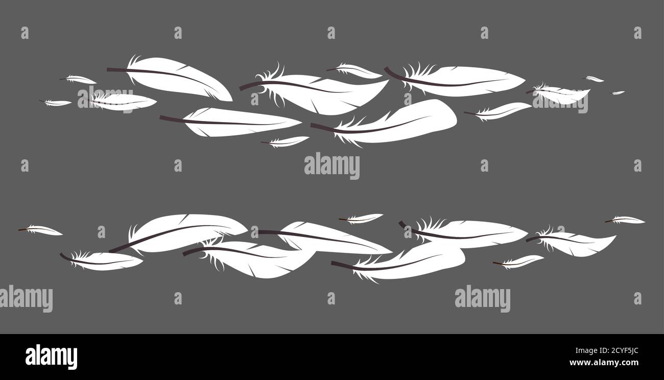 Set of white feathers in row. Vector boho element for invitations ...