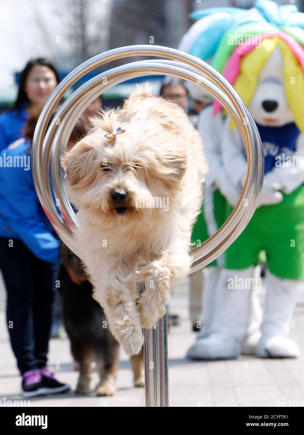 Sapsal High Resolution Stock Photography And Images Alamy
