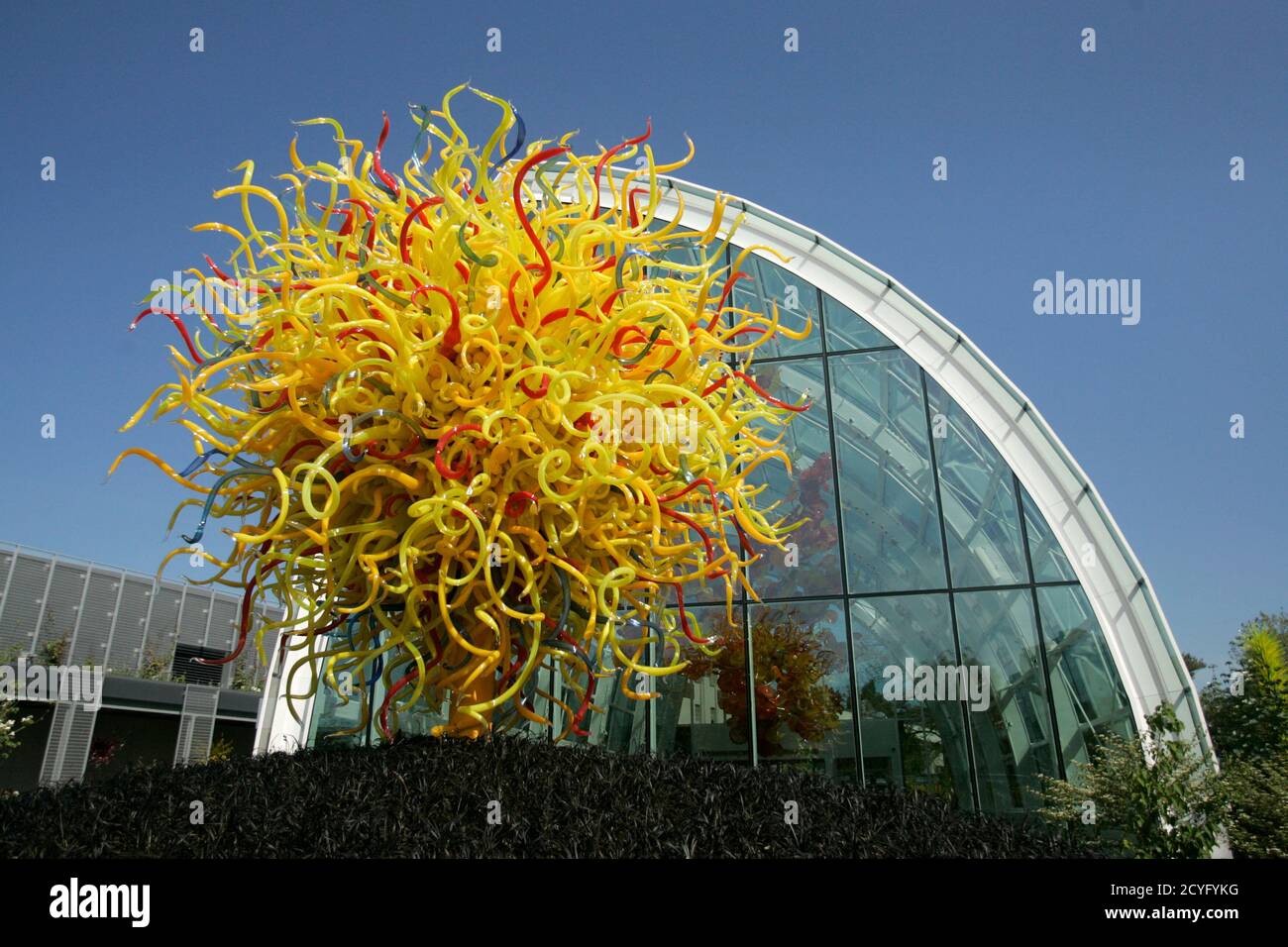 The Seattle Sun by artist Dale Chihuly is on display at the Chihuly Garden  and Glass exhibit in Seattle, Washington, May 16, 2012. Pioneering glass  artist Dale Chihuly, whose work has been