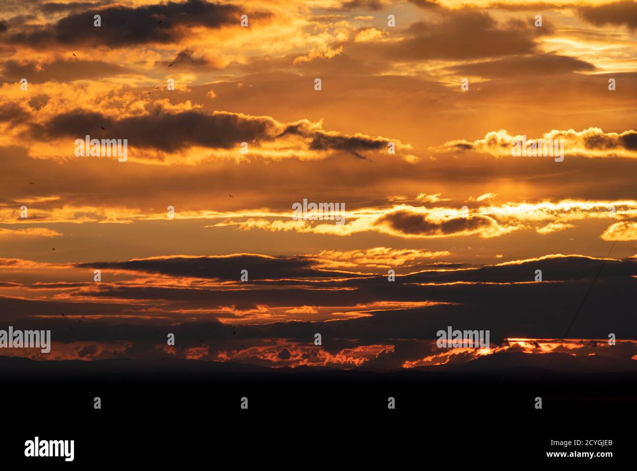 a close up view of golden clouds on the horizon during sunset in Marbella, Spain Stock Photo