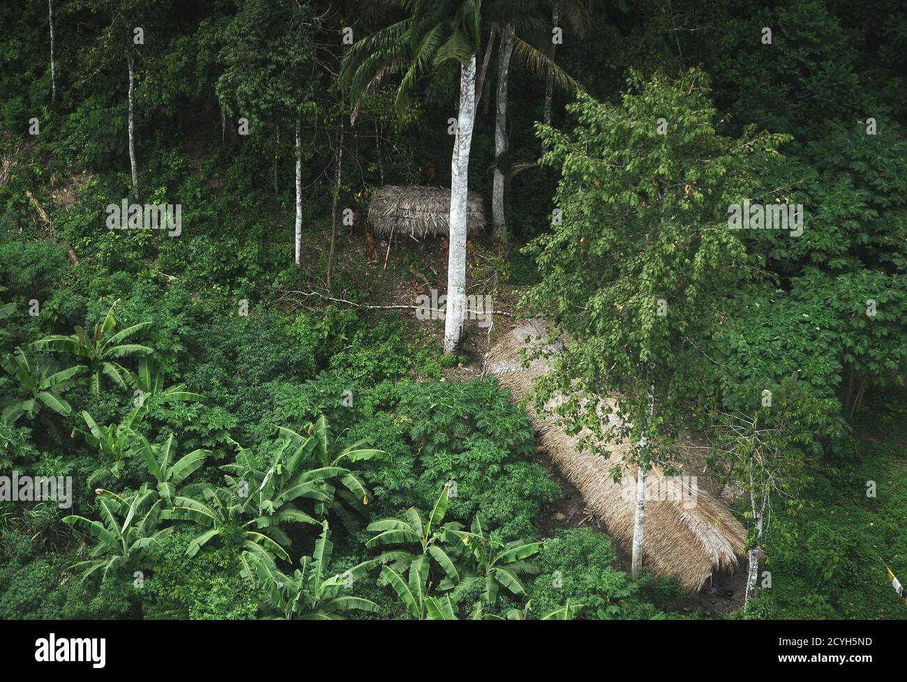 Uncontacted Tribe In Brazilian Jungle Uncontacted Tribe In Brazilian Jungle
