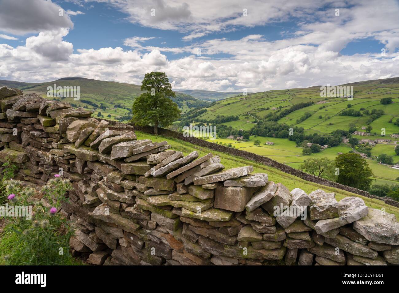 Yorkshire Dales village Low Row in upper Swaledale, North Yorkshire, England. Stock Photo