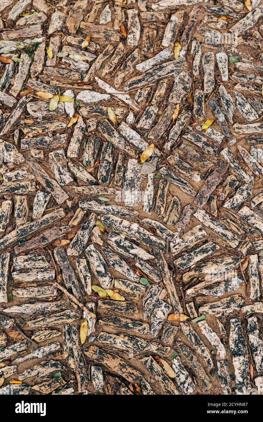 Paving stones of rectangular pieces of granite, with yellow autumn fallen leaves. Stock Photo