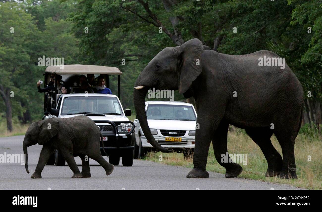 Hwange National Park 