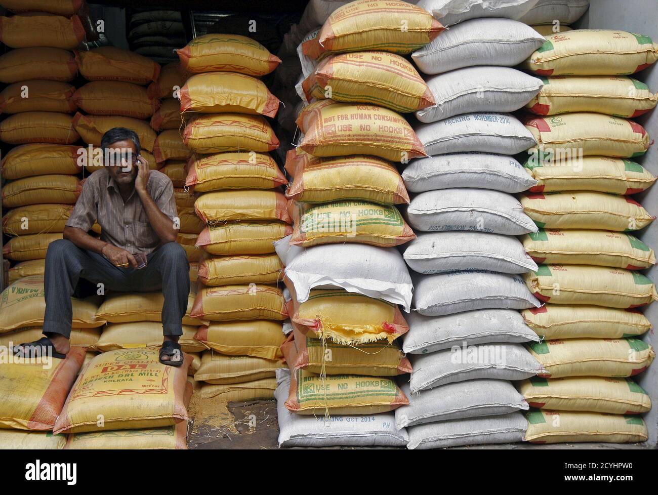 central pet wholesale