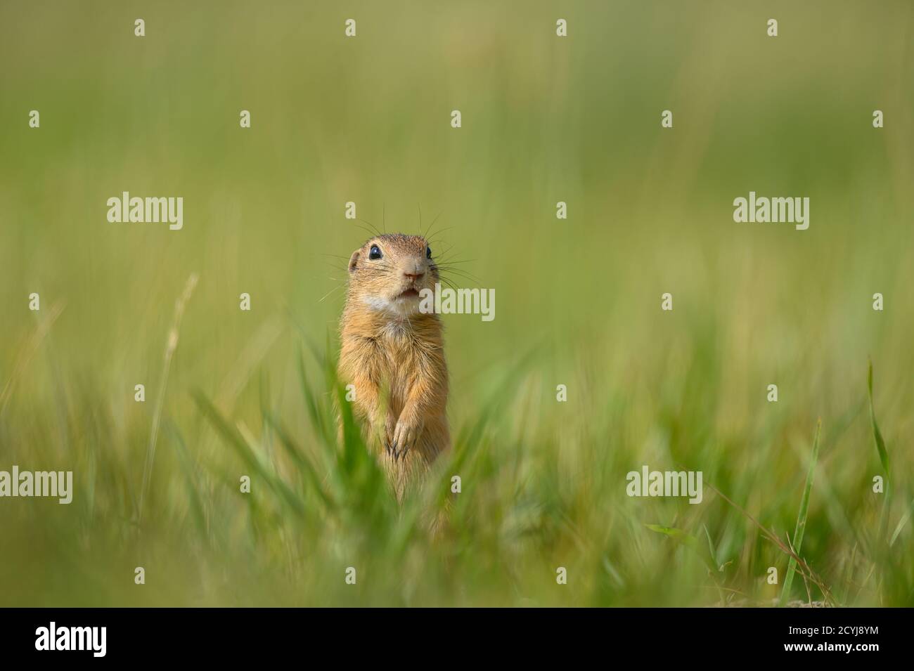 Dichten hi-res stock photography and images - Page 3 - Alamy