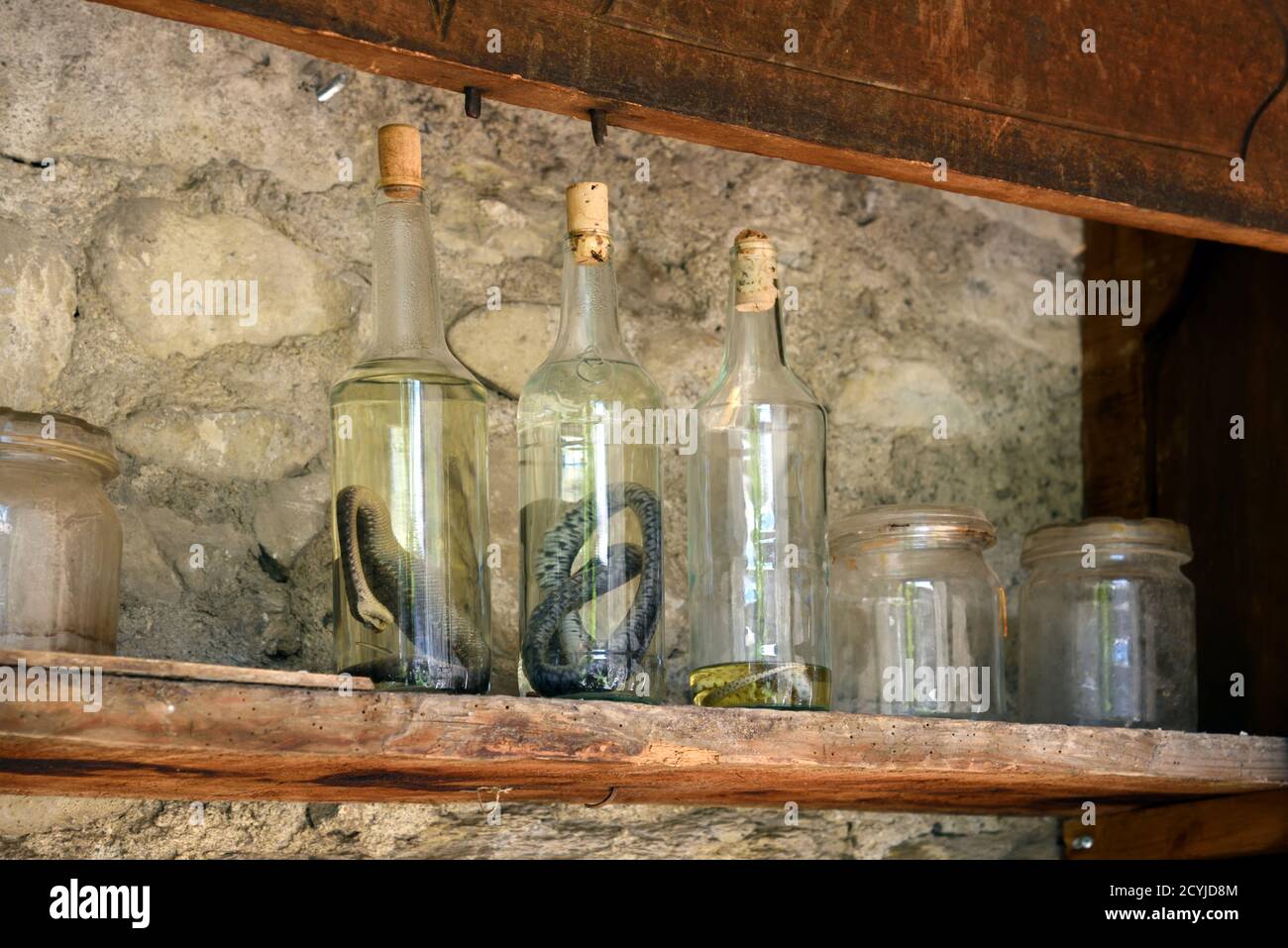 Snakes Preserved in Glass Bottles Historically Used as Folk Medicine or Snake Oil Stock Photo