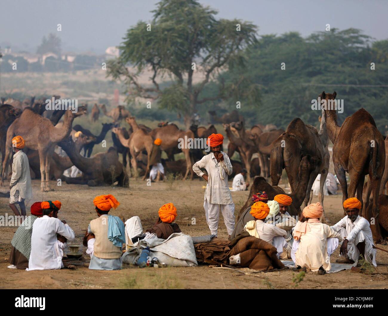 Camel traders wearing traditional headgears sit next to their camels at the  Pushkar Fair in the Indian desert state of Rajasthan November 10, 2013.  Many international and domestic tourists throng to Pushkar