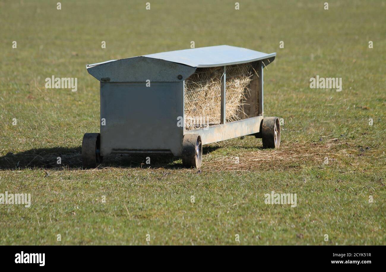 A Double Sided Sheep Feeder Hay Rack on Wheels Stock Photo Alamy