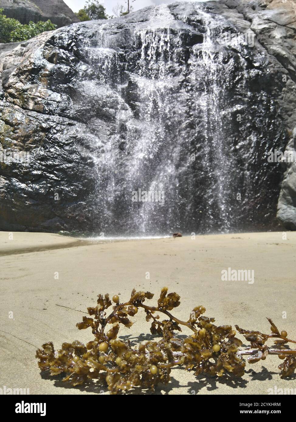 Seaweed on The Beach Beside A Large Rock With A Small Waterfall Stock Photo