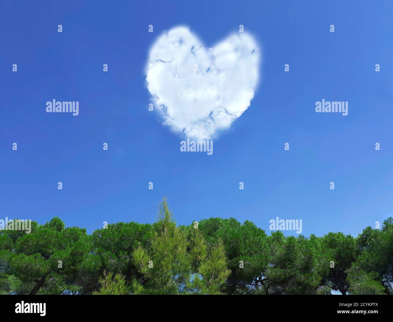 Heart shaped cloud in blue sky over trees. Stock Photo