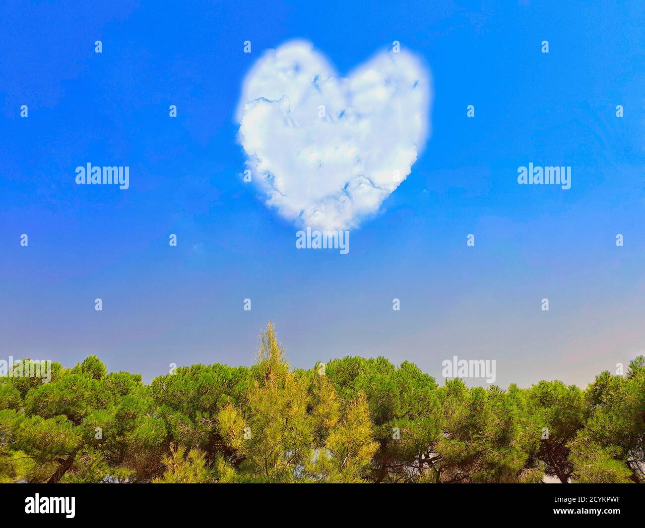 Heart shaped cloud in blue sky over trees. Stock Photo