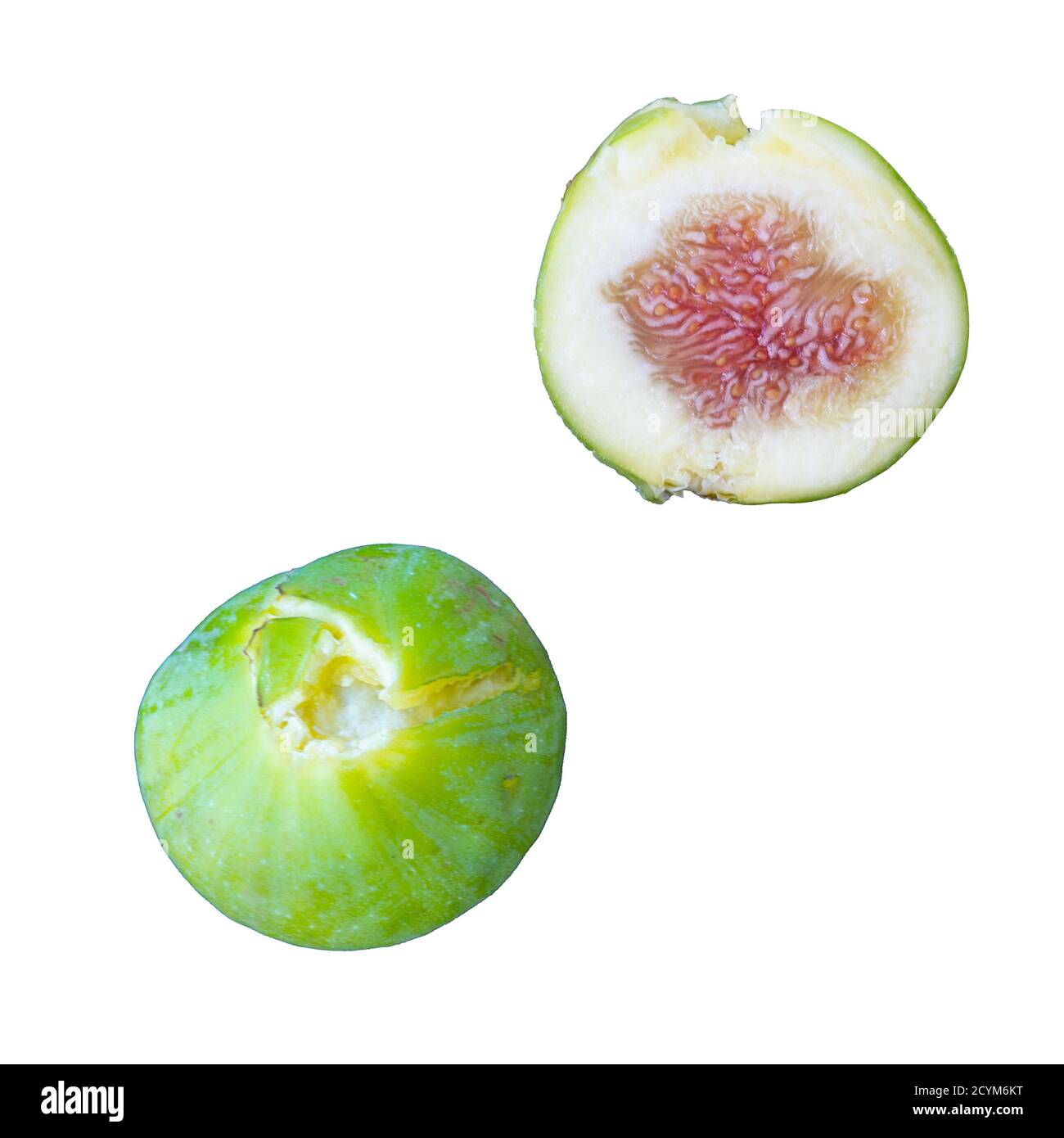 Split — fig