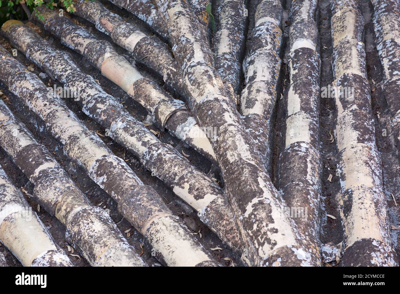 Abstract - Roof Tiles Stock Photo