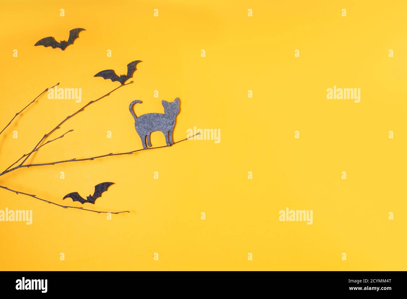 Halloween scene on orange background Stock Photo - Alamy