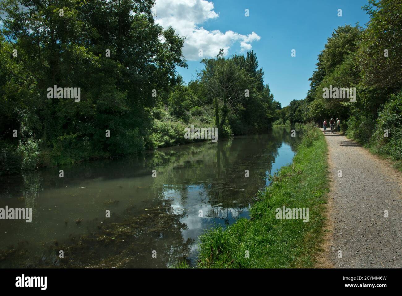 The Chichester canal on a cloudy summers day . Stock Photo