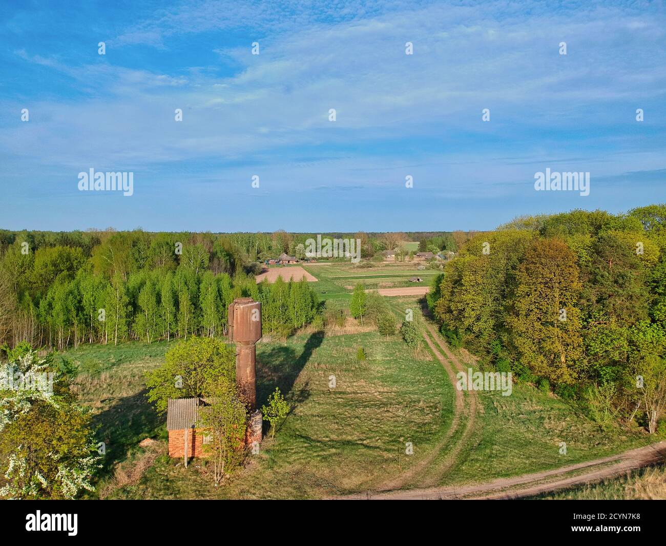 High grass field forest trees hi-res stock photography and images - Alamy