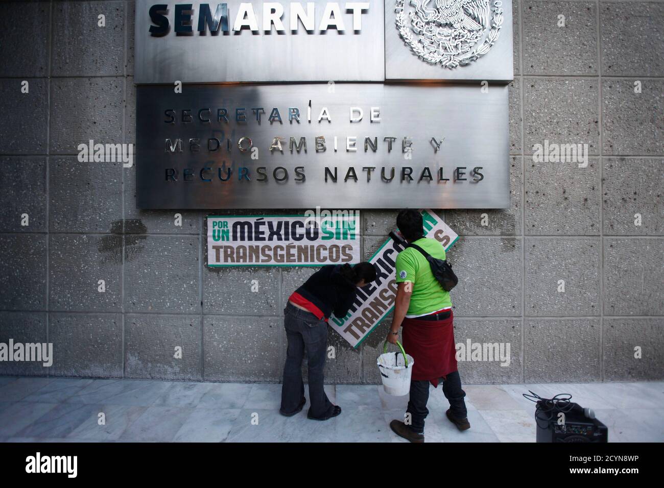 Greenpeace activists stick a poster in protest against the cultivation of transgenic maize outside the SEMARNAT (Secretary of Environment and Natural Resources) building in Mexico City June 5, 2012. The poster reads, 'Mexico free transgenic.' REUTERS/Edgard Garrido (MEXICO - Tags: ENVIRONMENT CIVIL UNREST AGRICULTURE) Stock Photo