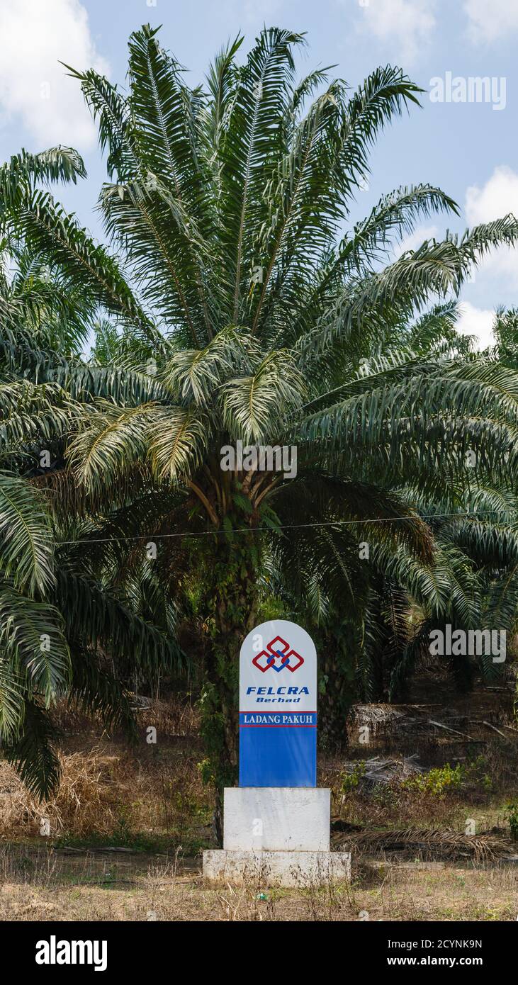 Demarcation stone of Pakuh Estate, an oil palm plantation of FELCRA (Federal Land Consolidation and Rehabilitation Authority) along the national road. Stock Photo