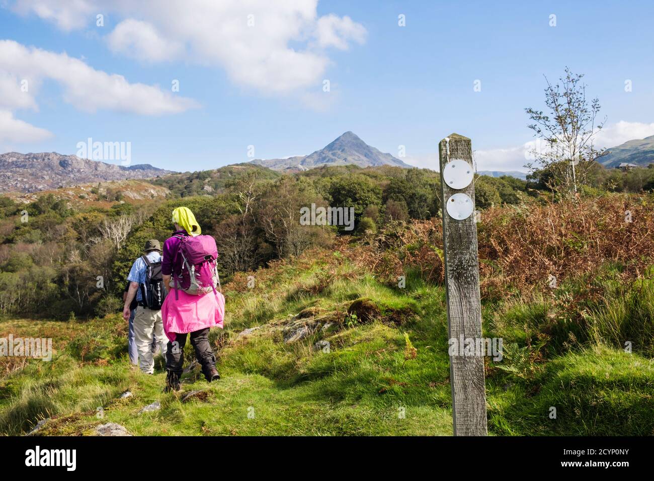 Hikers hikings on footpath in Snowdonia National Park hills with path sign and Cnicht mountain peak in distance. Croesor, Gwynedd, Wales, UK, Britain Stock Photo