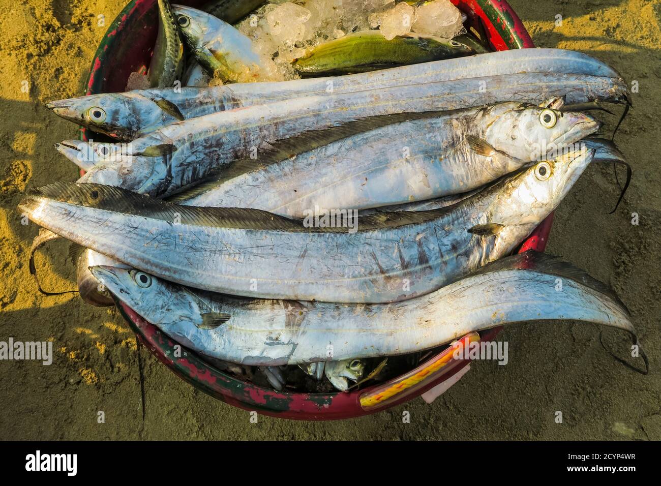 Ribbon tails hires stock photography and images Alamy