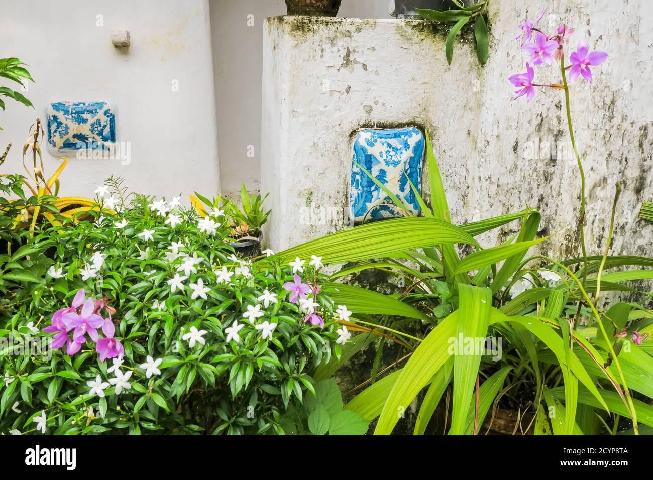 Garden detail in the Portuguese colonial style Old Courtyard Hotel in Fort Cochin; Princess St, Kochi (Cochin), Kerala, India Stock Photo