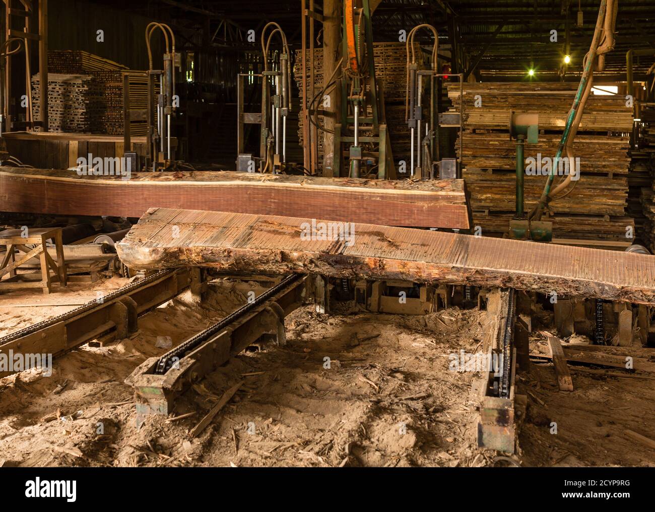 Band saw machine for cutting big timbers into planks in a sawmill of Seguntor Industrial Area in