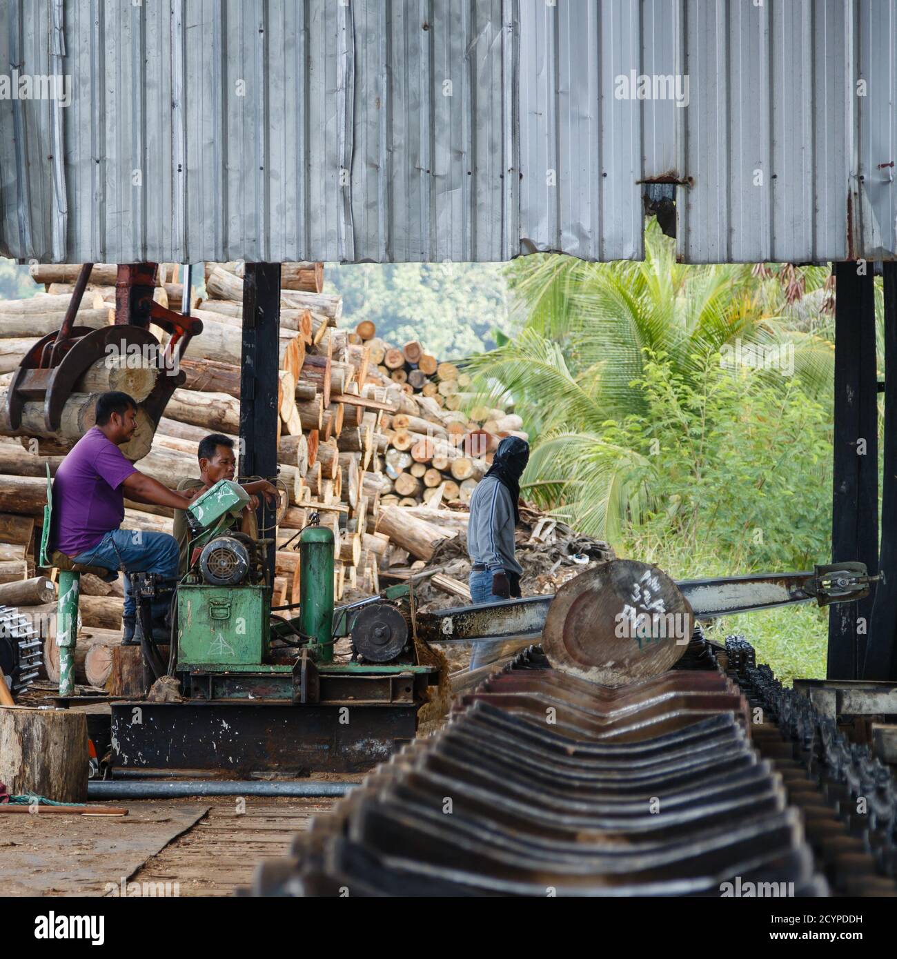 Saw mill of a plywood factory in Sandakan, Sabah, Malaysia. The timber