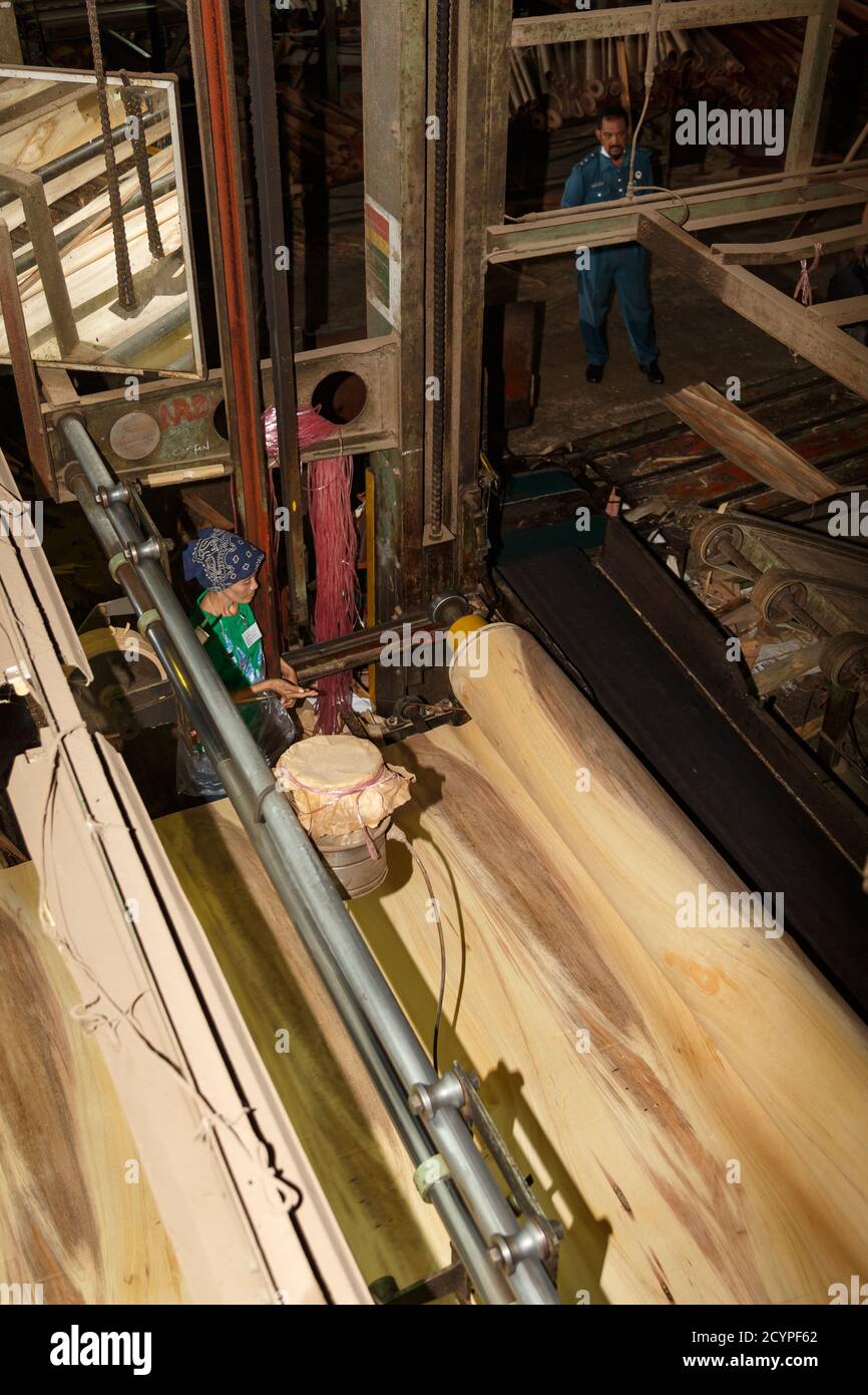 Veneer outlet of the TAIHEI Veneer Peeling Lathe in a Plywood Factory in Sandakan, Sabah