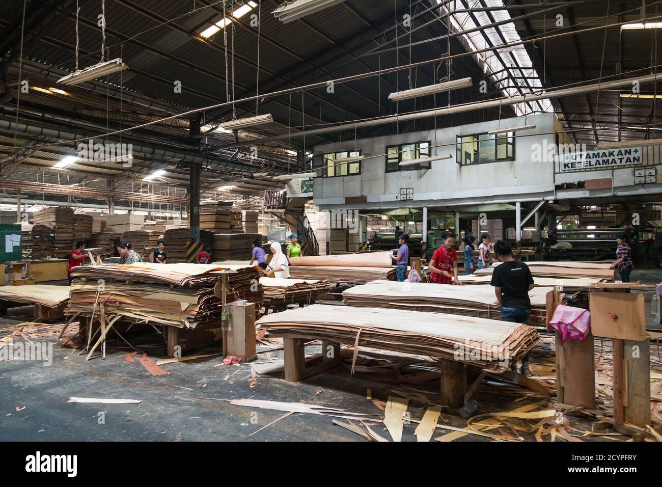 https://c8.alamy.com/comp/2CYPFRY/repairing-sorting-and-stacking-of-sheets-of-veneers-after-leaving-the-chin-hsiang-continuous-dryer-in-a-plywood-factory-in-sandakan-malaysia-2CYPFRY.jpg